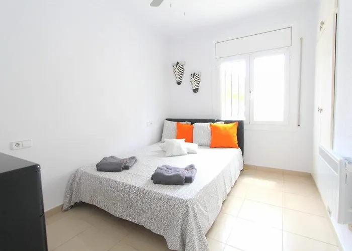 Leon Inmo Pia - 11084 אמפוריבראבה